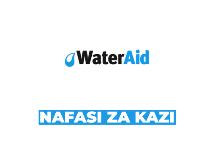WaterAid Tanzania Vacancies 2026