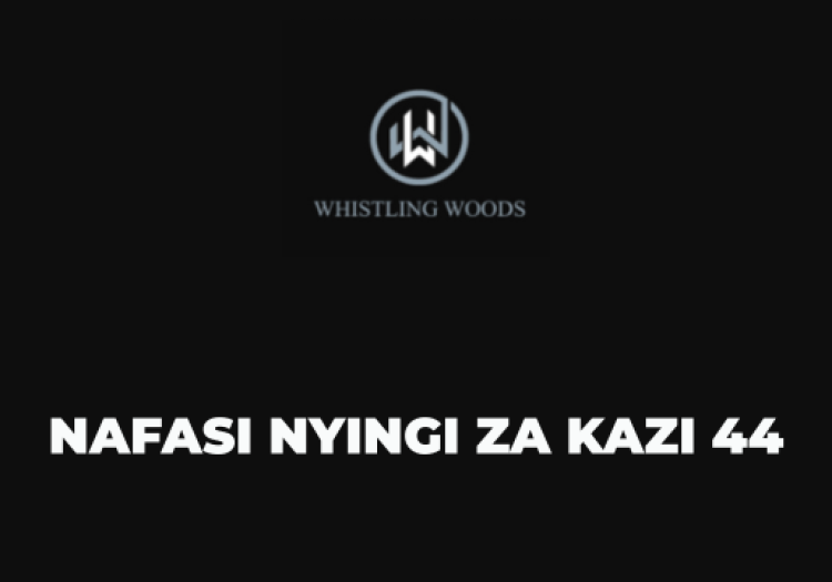 Whistling Woods Tanzania Vacancies 2025