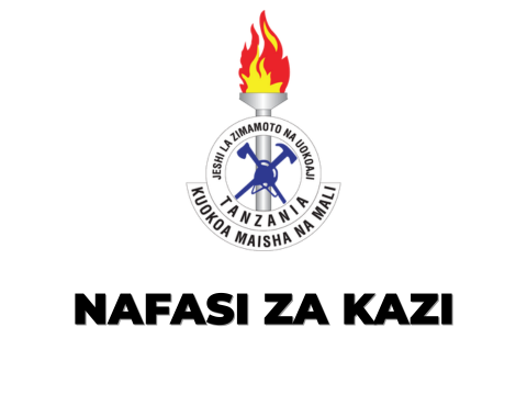 Zimamoto Recruitment Tanzania Vacancies 2025